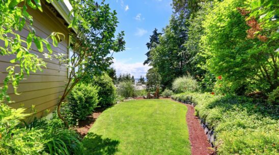 Is It OK to Plant Tall-Growing Plants Near My Generator? 